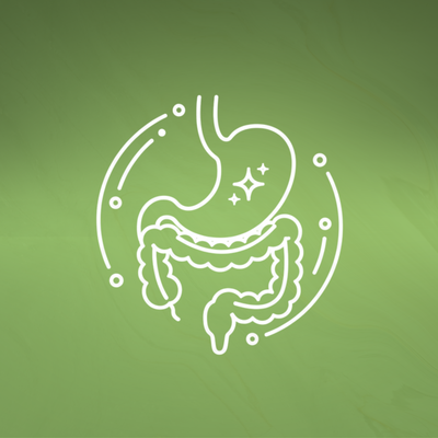 Digestive Health†