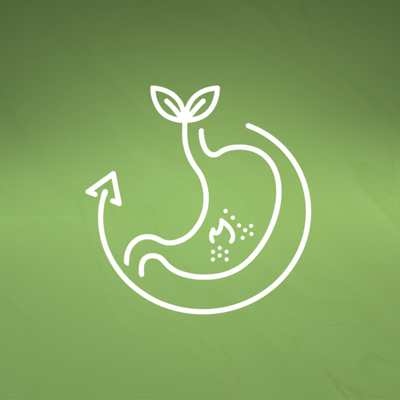 Metabolism Support†