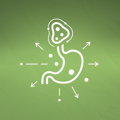 Nutrient Absorption†