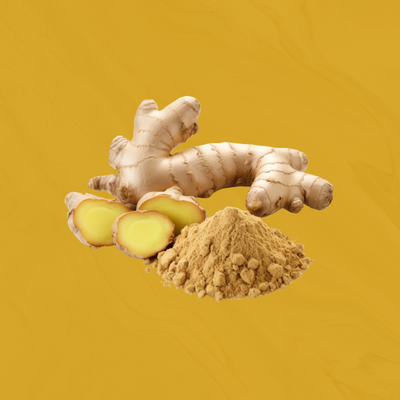 Ginger Root Extract